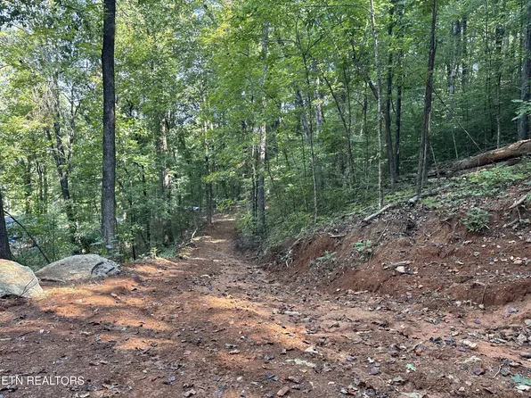 0 County Road 38, Riceville, TN 37370