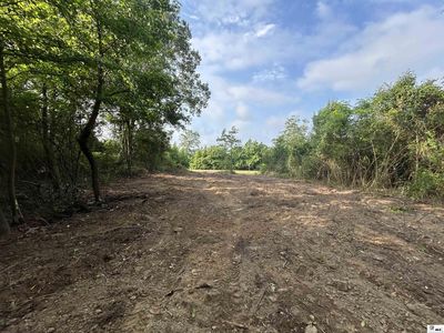 0 Florence Williams Rd, Farmerville, LA, 71241