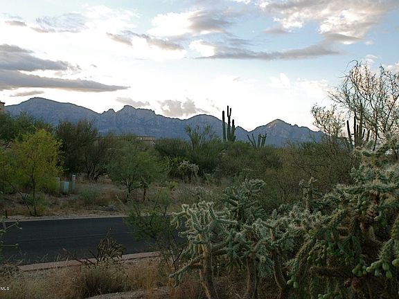 2nd image of 14741 N Dusty View Pl