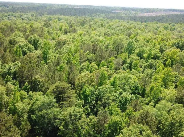 0 County Road 494 #0, Verbena, AL 36091