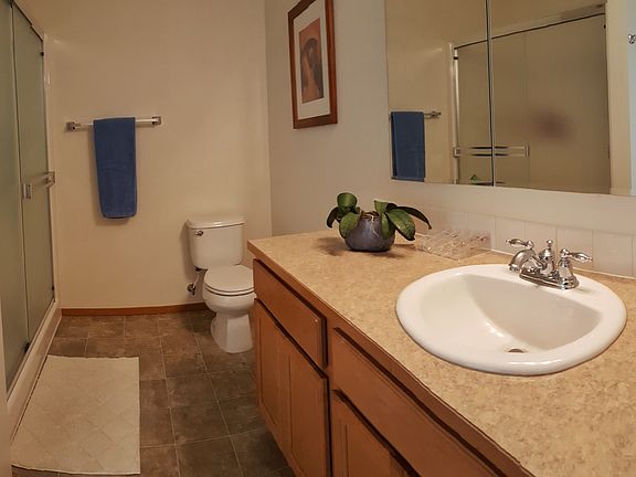 Master Bath w/ shower