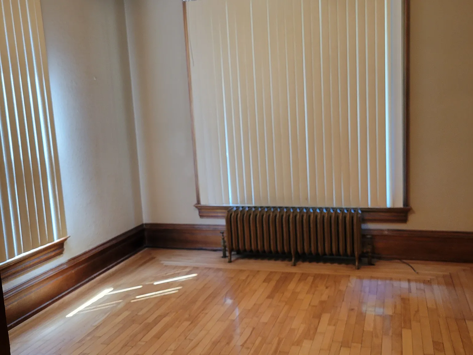 Studio, 450 sqft, $905 — Photo 1