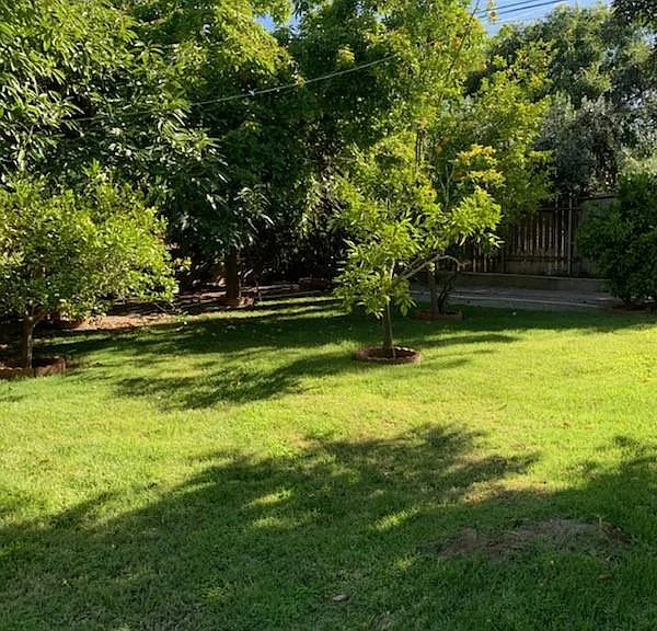 11464 1/2 Iris Ave — Photo 12