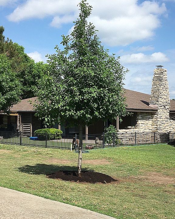 1st image of 363 Englewood Dr