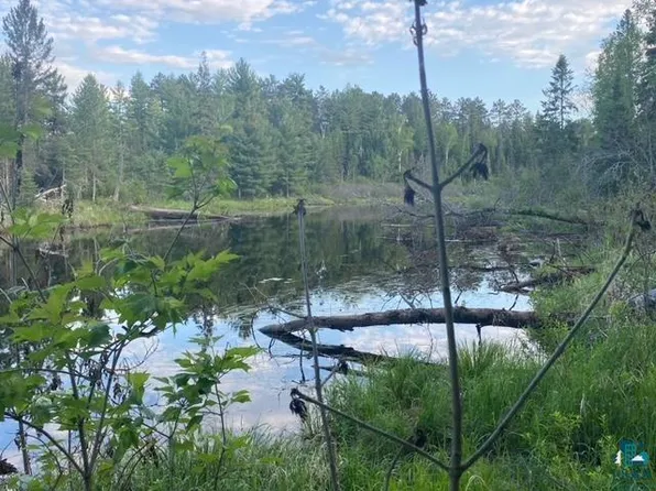 51 Xxx Ln, Aurora, MN 55705