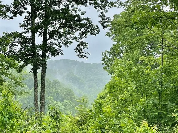 0 McLerran Cemetery Rd, Moss, TN 38575