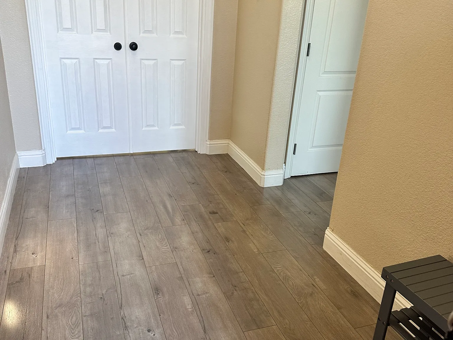 1 bed, 300 sqft, $1,250 — Photo 3