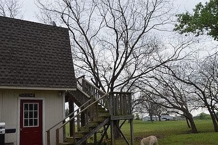 view of the stairs, that goes to the Deck overlooking the Pond.