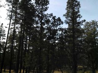 9455 Porter Mountain Rd, Lakeside, AZ 85929