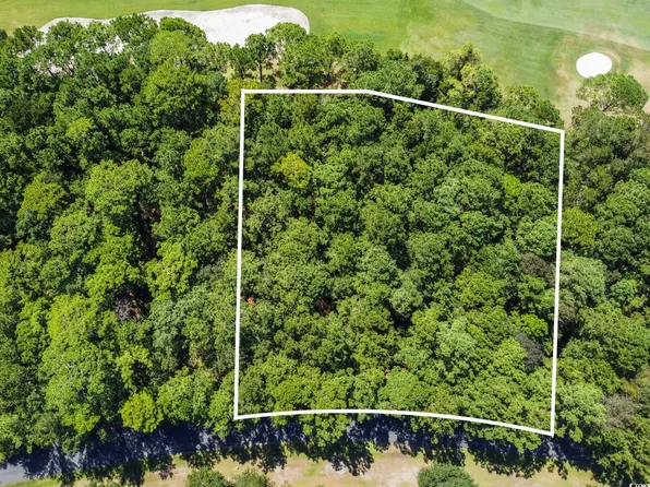 Lot 305 Wallace Pate Dr. Lot 305 and 1/2 Lot 306 Wallace Pate Drive, Georgetown, SC 29440