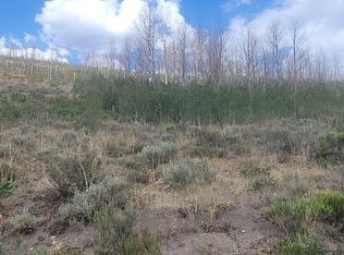 5404 County Road 41, Granby, CO 80446