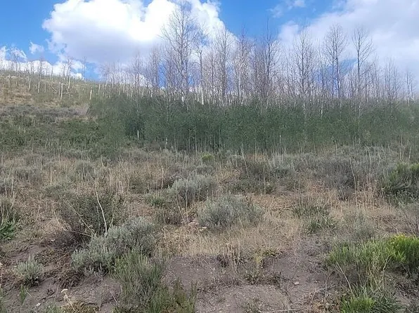 5404 County Road 41, Granby, CO 80446