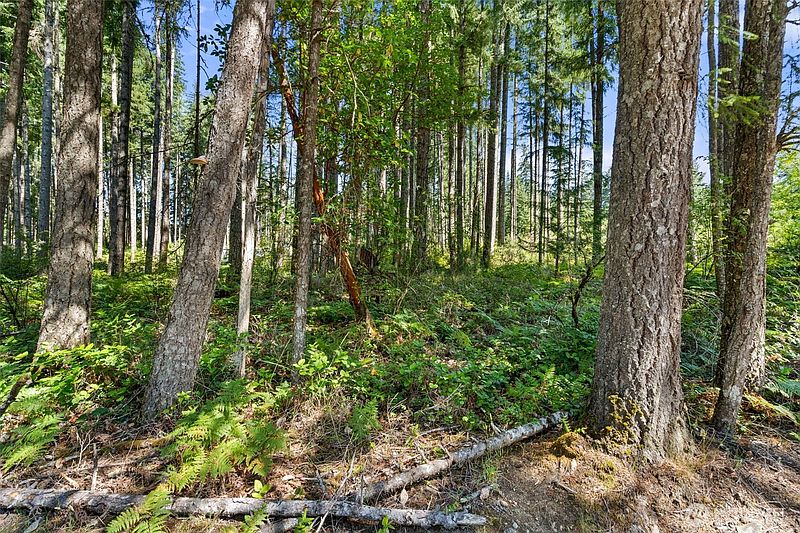 2nd image of 1030 E Phillips Lake Road