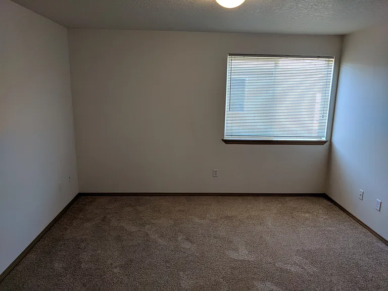 445 Donna Dr — Photo 10