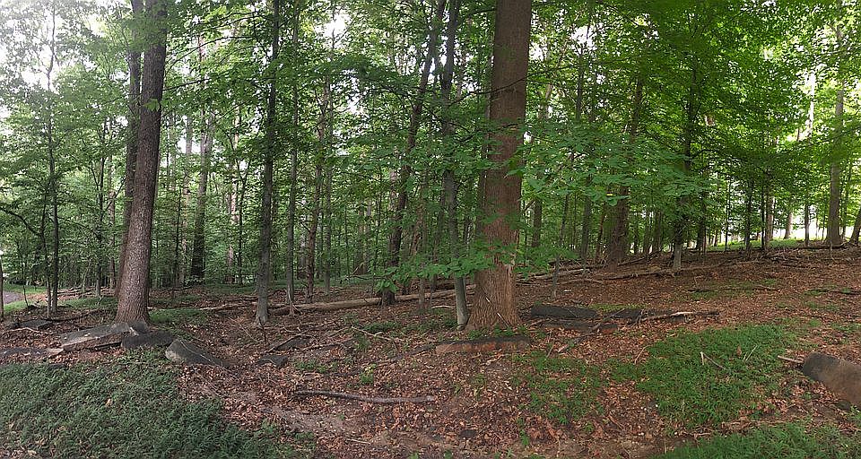 Fully wooded lot #3