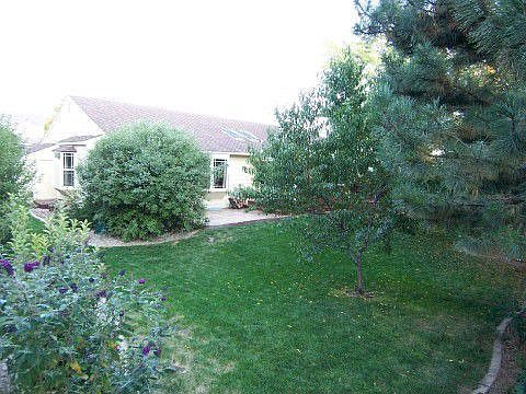 Mature Landscaping