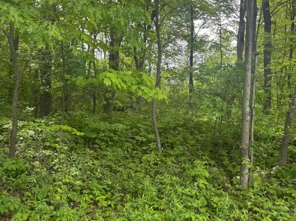 241st Ave NE, Stacy, MN 55079