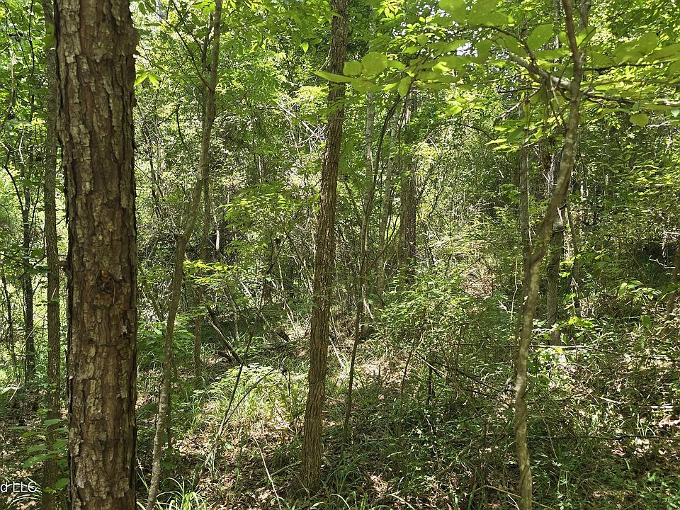 1st image of Neal Posey Rd