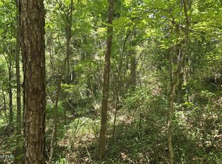 Neal Posey Rd, Mc Call Creek, MS 39647
