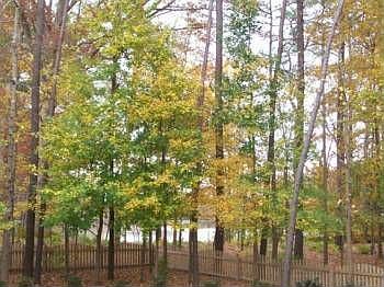 2nd image of 112 Lochmere Ct