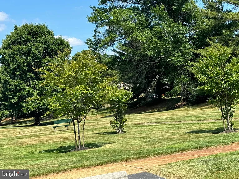 1502 The Woods — Photo 2