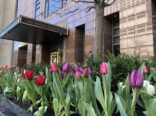 161 E Chicago Ave UNIT 38DE, Chicago, IL 60611