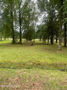 803 Oak Trl, Canton, MS, 39046