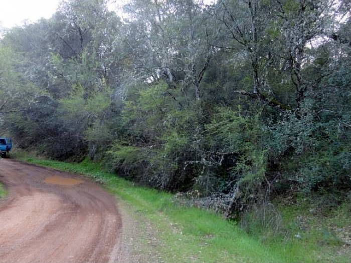 Road view