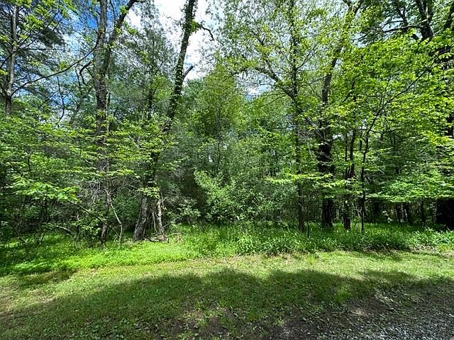 1st image of Little Big Horn Ln