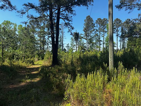 4th image of 4360 Livingwood Dr