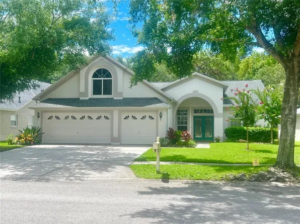 10217 Timberland Point Dr, Tampa, FL 33647