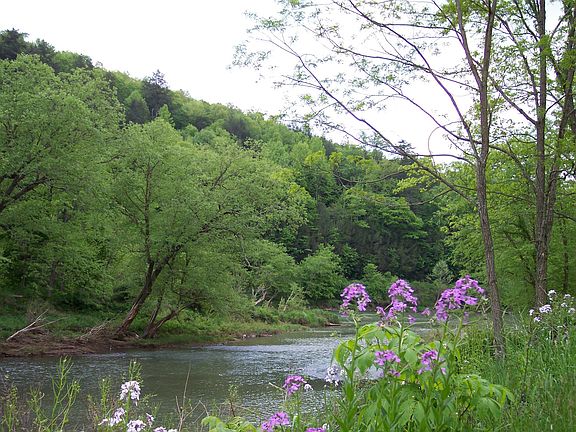 2nd image of Duncan Rd