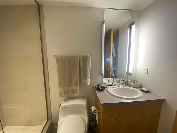 221 E College St #709 — Photo 9