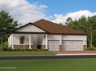 10665 Bailey Pearl Ct, Land O Lakes, FL 34638