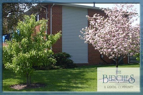 4th image of 2347 White Birch Ln APT 307
