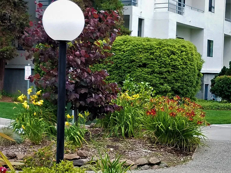 Albany Cir — Photo 1