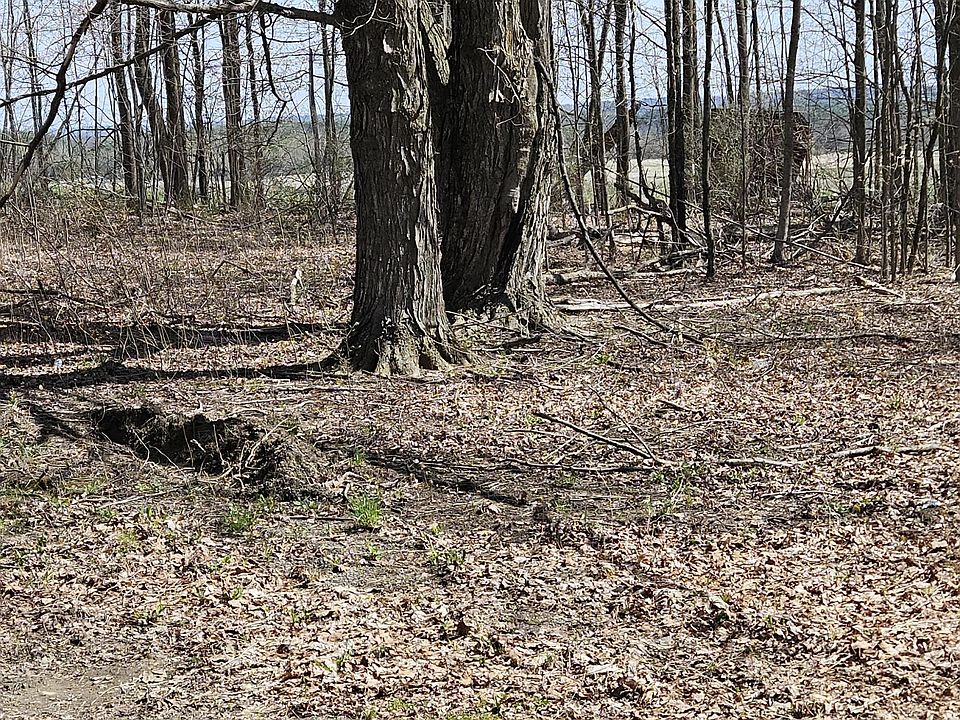 2nd image of 346 Ohio Hill Road