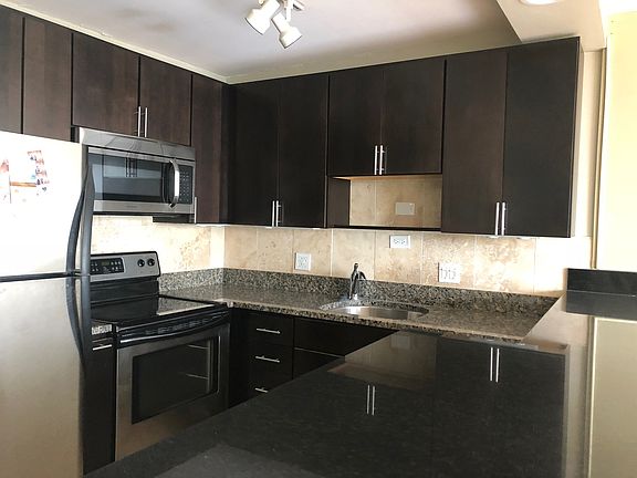 5th image of 1360 N Sandburg Ter APT 2010