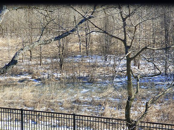 2nd image of 12115 W 164th Ter