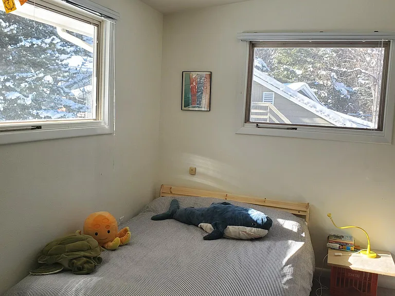 565 Jack Pine Ct — Photo 23