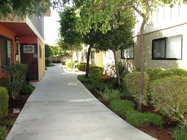 Cedar Apartments — Photo 3