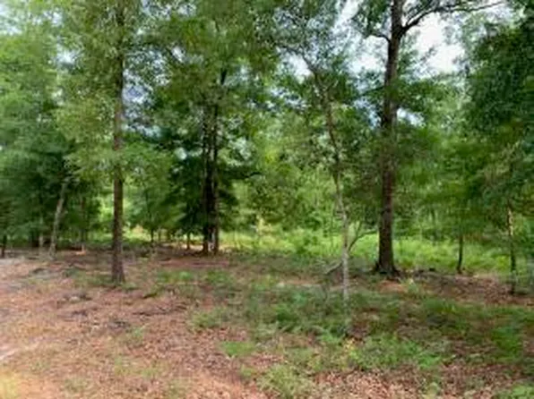 0 Chaplins Landing Rd, Hollywood, SC 29449