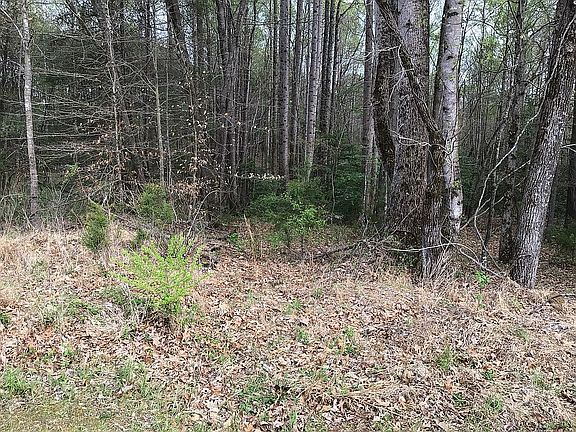 4th image of Washington Dr