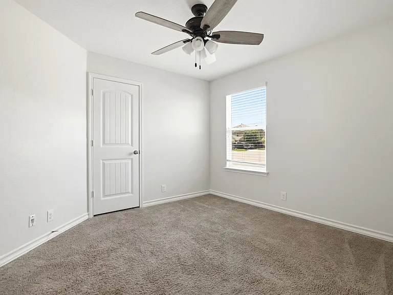 15441 Cooks Petrel — Photo 21