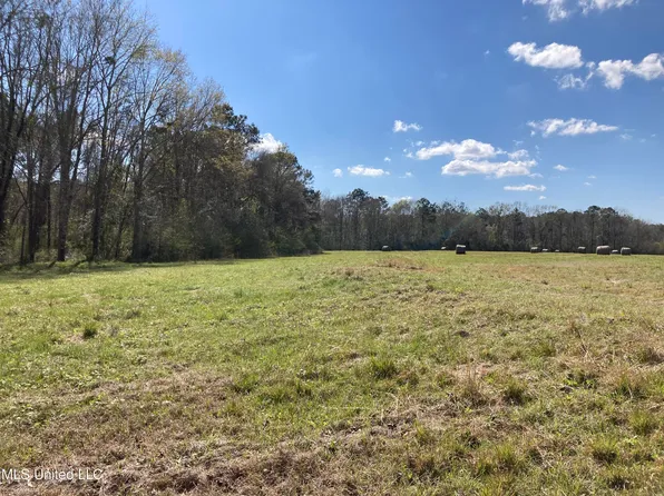 10440 Possum Fork Rd, Picayune, MS 39466