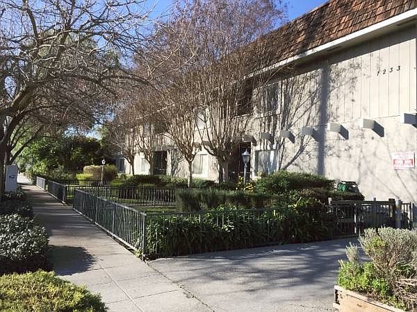 1st image of 1215 Pedro St APT 8