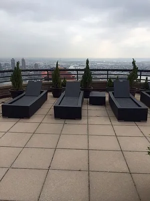 Rented by Vipler Realty | media 4