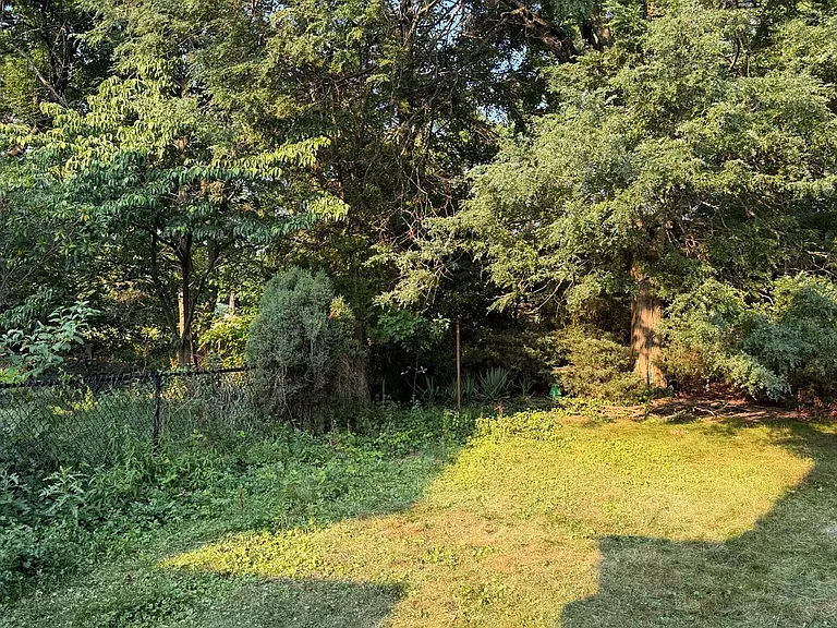 A pleasant mix of afternoon shade to read a book or grow flowers or fruits and veggies to bring out your best gardening skills.