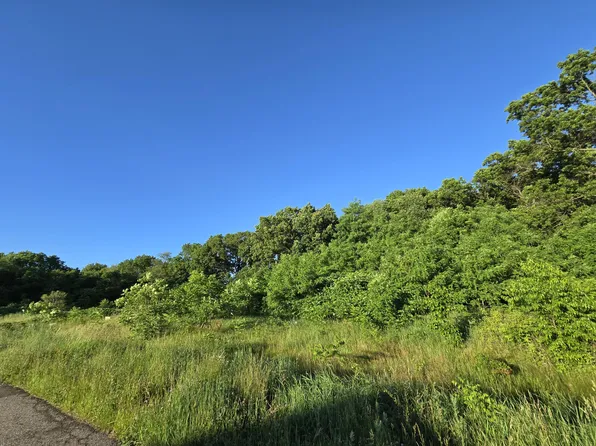 LOT 11 Embassy Rd, Edwardsburg, MI 49112