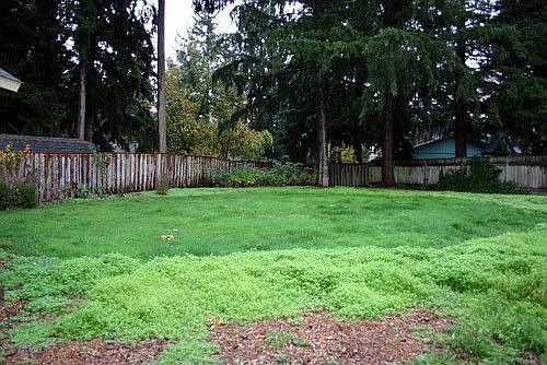 1st image of 4503 NE Wildrose Dr